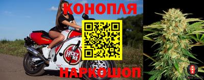скорость Новозыбков