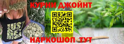 скорость Новозыбков