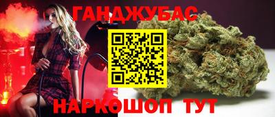 скорость Новозыбков