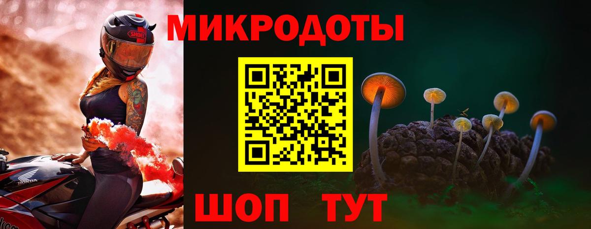 Северск  Галлюциногенные грибы Cubensis  Вход с VPN 
